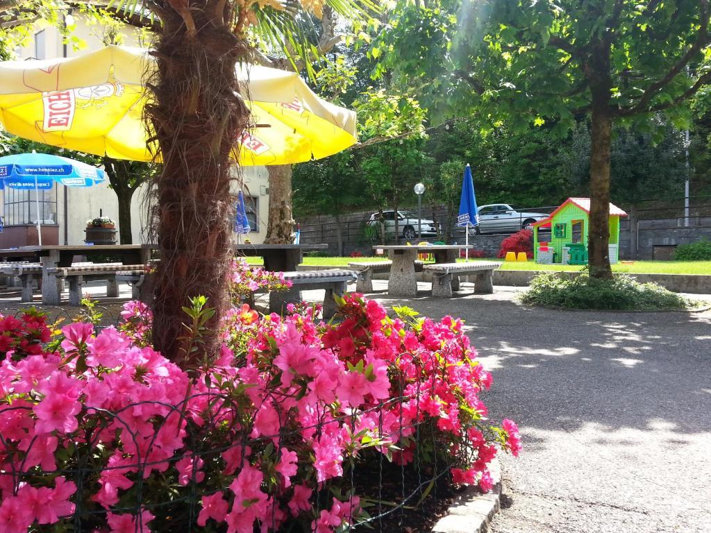 Osteria Belvedere Losone Esterno foto